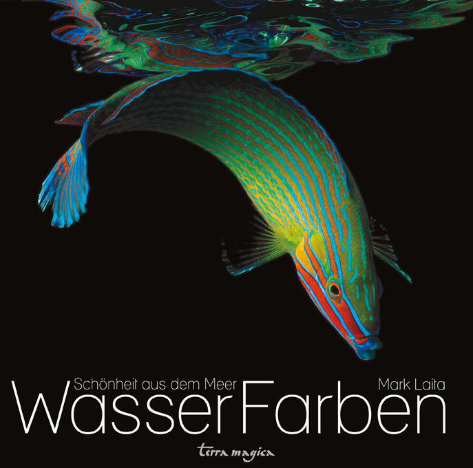 Mark Laita, WasserFarben