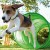 Hunde-Parkour T6628401M3V07