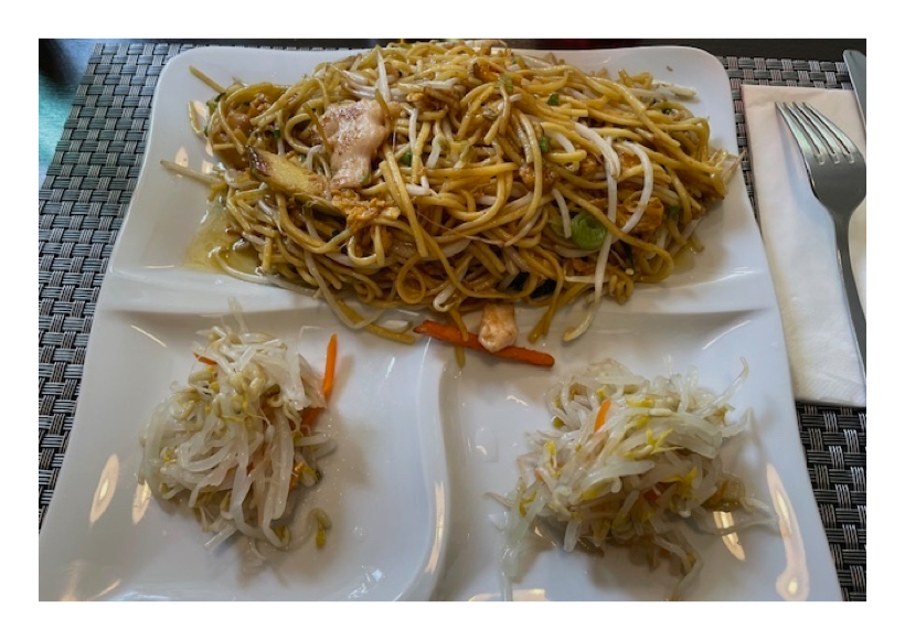 Gebratene Nudeln mit Huhn und Sojasprossen-Salat – sempre-vita.com